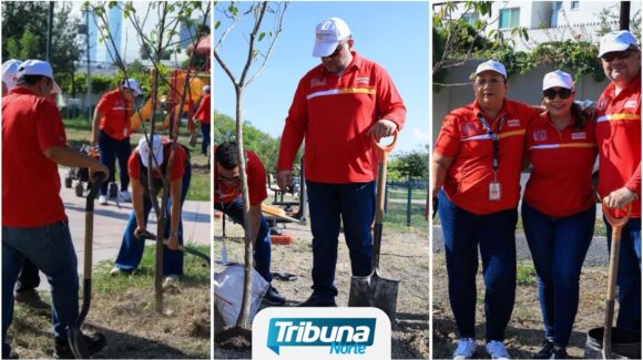 Gobierno de Monterrey impulsa forestación urbana en Vista Hermosa y Parque Verona