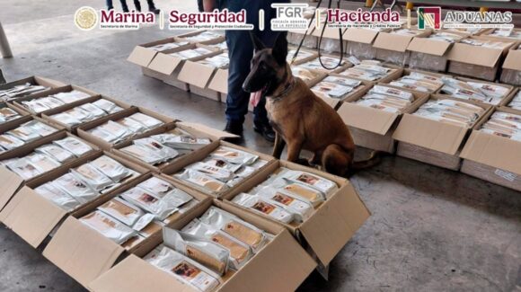 Detectan más de una tonelada de presunta cocaína base oculta en cargamento de café en el AICM