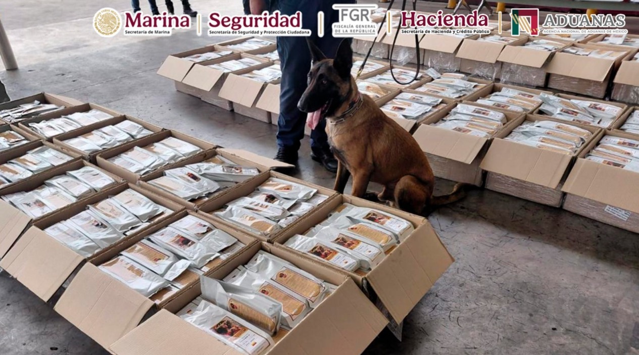 Detectan más de una tonelada de presunta cocaína base oculta en cargamento de café en el AICM