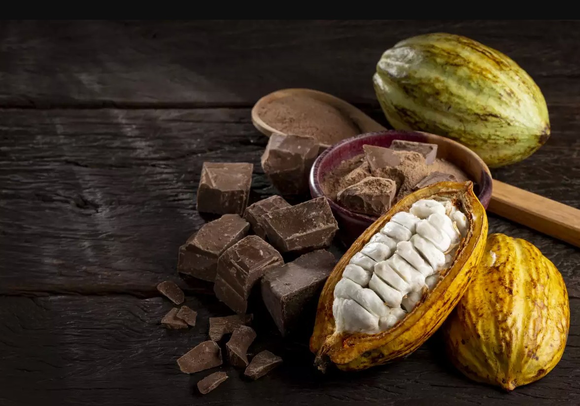 Día Nacional del Cacao y el Chocolate: México dio el cacao al mundo, pero no domina su negocio