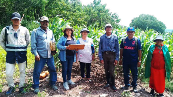 Gobierno Federal destina 107 mil millones de pesos a programas para el campo