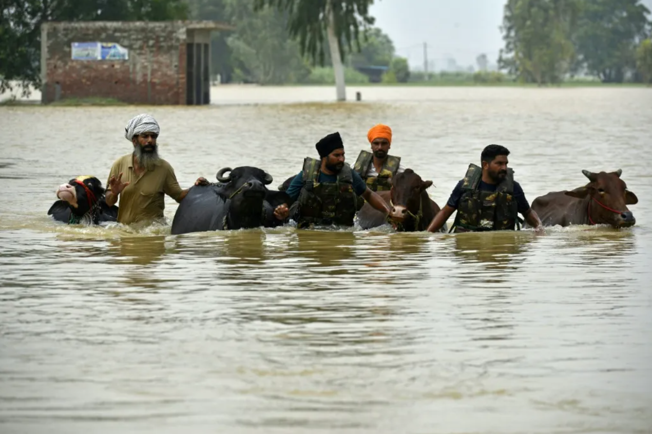 Inundaciones en India afectan a casi cinco millones de personas en Bihar