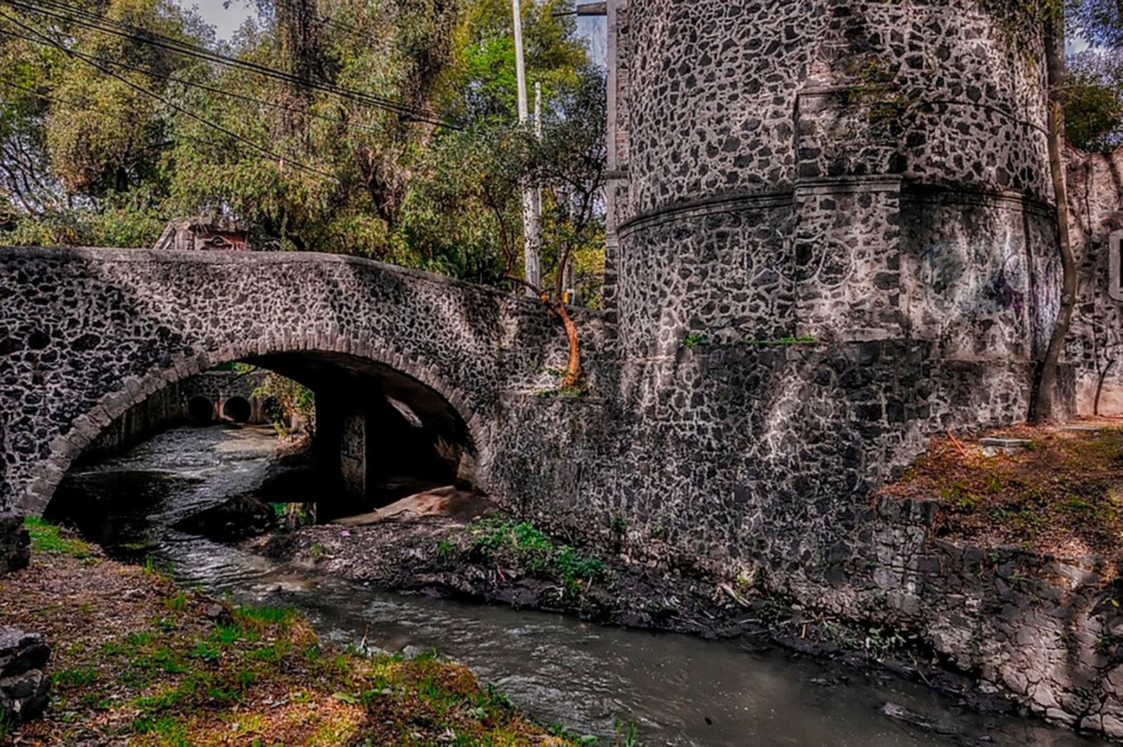 Basura en cuerpos de agua puede provocar crisis en la Ciudad de México: Aneas