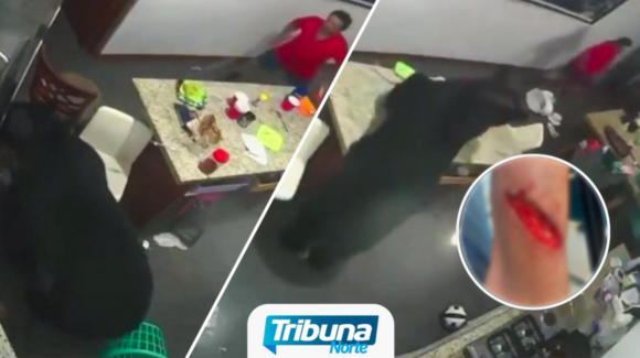 Oso negro ataca a residente de NL y lo deja herido en zona habitacional de San Pedro