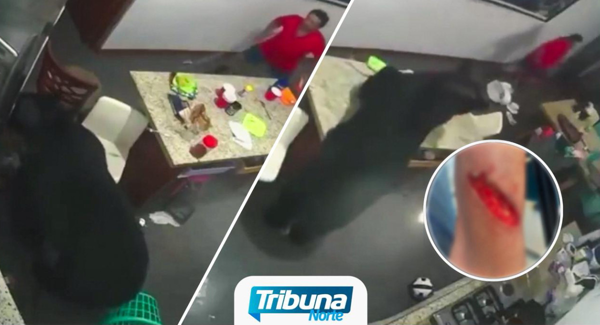 Ataque de oso negro deja a un residente lesionado en zona habitacional de San Pedro
