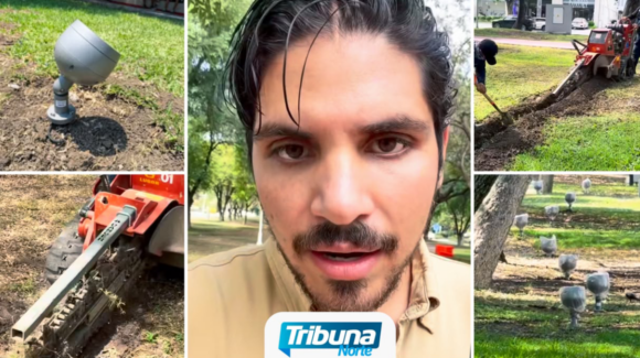 Riesgo ambiental Las Calzadas: Iluminación subterránea amenaza árboles antiguos en San Pedro