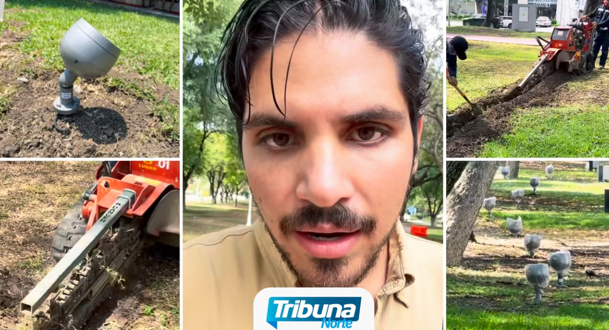 Riesgo ambiental en Las Calzadas: Obras de iluminación subterránea amenazan árboles antiguos en San Pedro