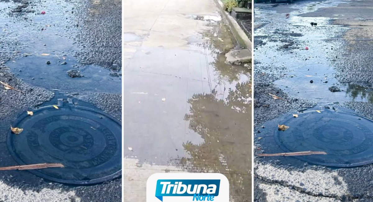 Colapso de drenaje en Linda Vista cumple un mes sin atención; vecinos alertan por foco de infección