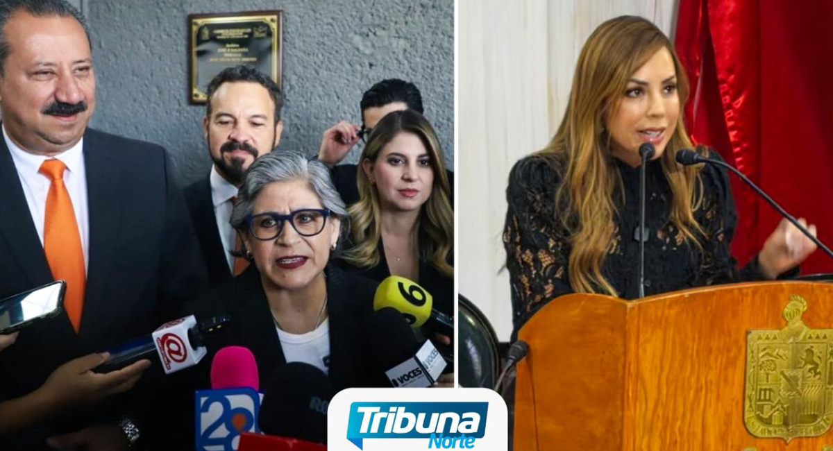 Movimiento Ciudadano recurrirá al Tribunal Electoral tras la designación de Perla Villarreal en el Congreso de Nuevo León