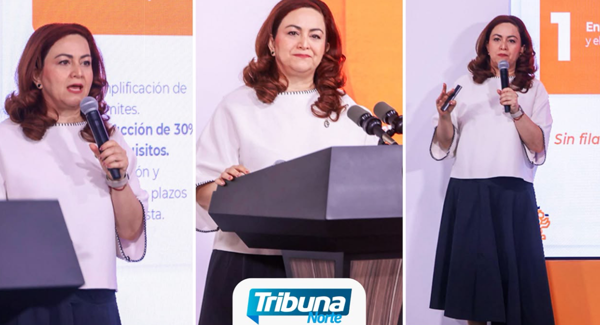 NLínea incorpora el trámite de cambio de propietario vehicular por internet