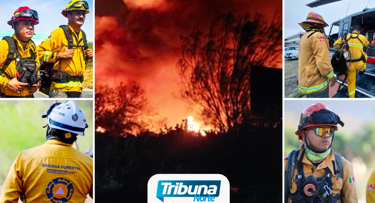 Fuego en Santa Catarina moviliza a la Brigada Fénix