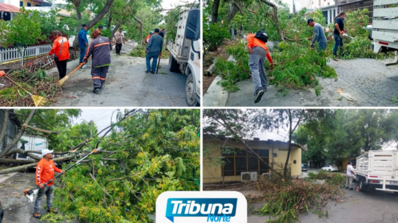 NL: Gobierno de Guadalupe intensifica limpieza y desazolve tras tormenta del fin de semana