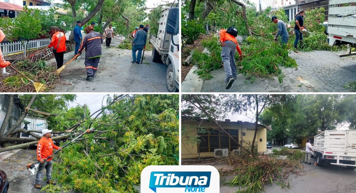 El Gobierno de Guadalupe intensifica labores de limpieza y desazolve tras la tormenta del fin de semana