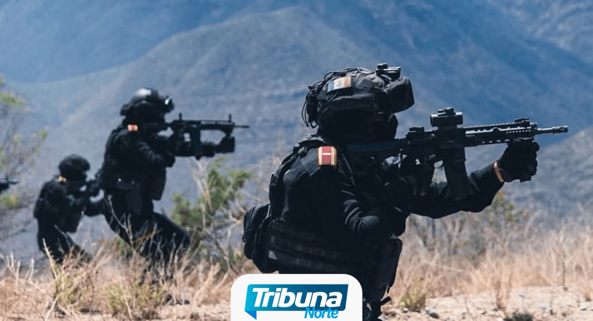 Abaten a siete presuntos criminales tras enfrentamiento en General Treviño