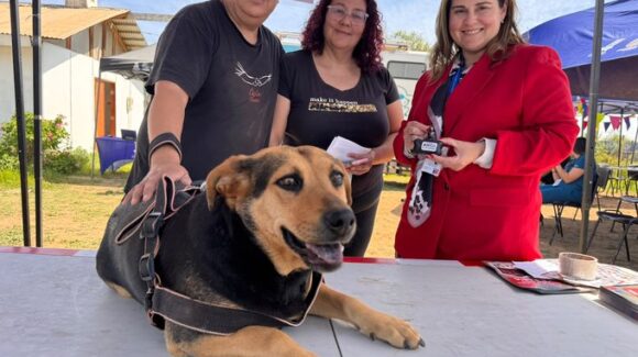 Ciudad Juárez: DABA llama a vacunar gratis a perros y gatos en el Día Mundial contra la Rabia 2026