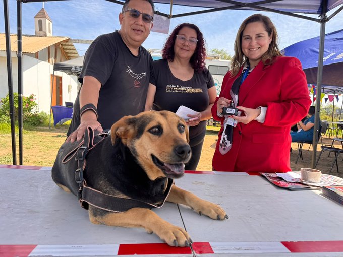 Ciudad Juárez: DABA llama a vacunar gratis a perros y gatos en el Día Mundial contra la Rabia 2026