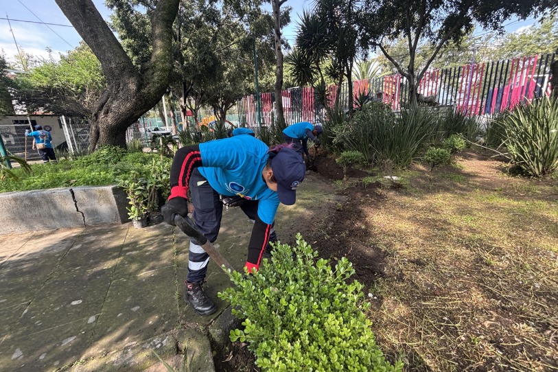 Alcaldía Miguel Hidalgo en la CDMX entregará apoyos de 38 mil pesos para mantener parques urbanos