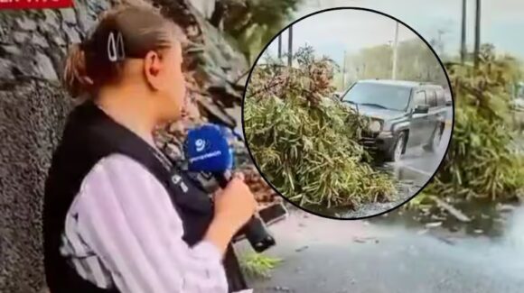 Reportera y camarógrafo son atropellados durante transmisión en vivo en Monterrey