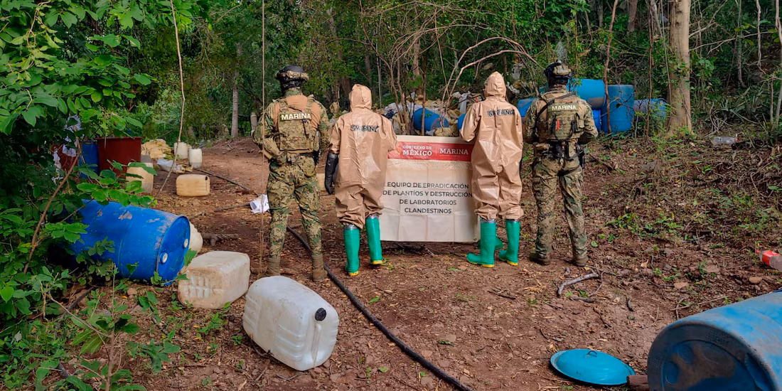 Inhabilitan laboratorio clandestino en Elota, Sinaloa; aseguran precursores químicos y equipo