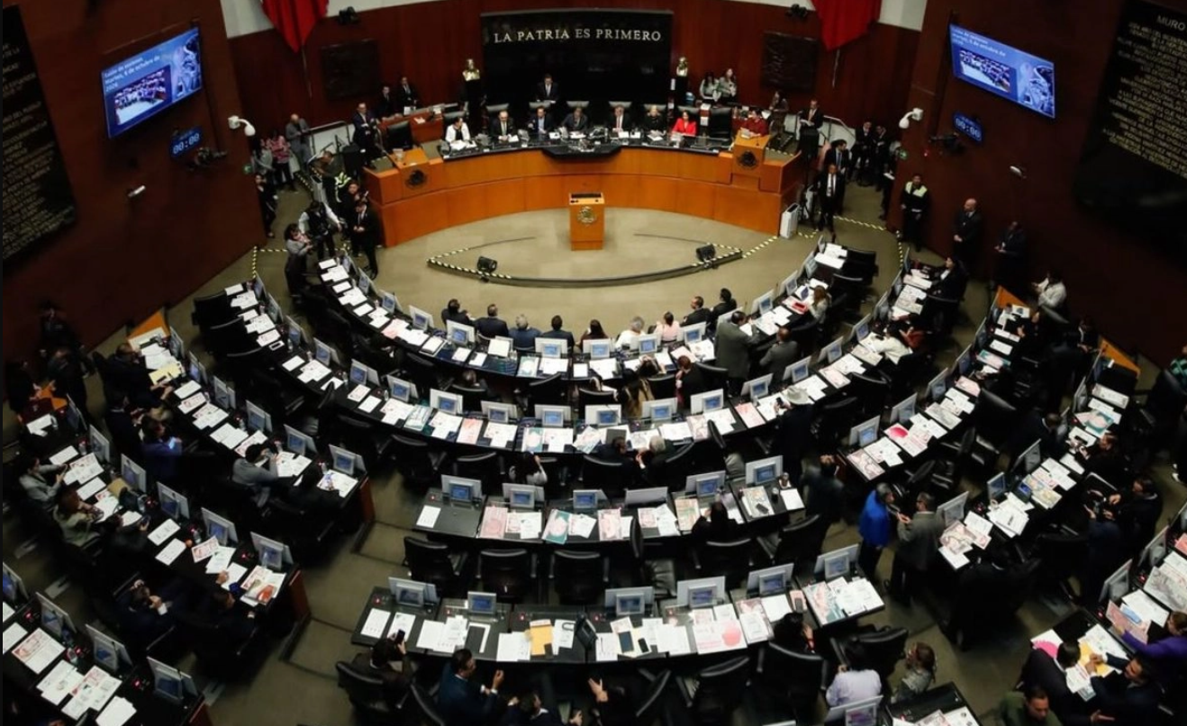 Senado declara constitucional reforma sobre doble nacionalidad para presidentes y gobernadores