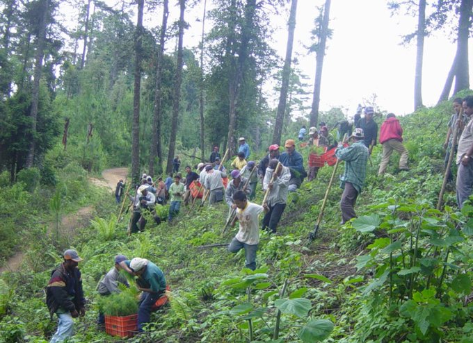 “Tráiganmelo con vida”: niño pide a la Familia Michoacana liberar a su padre desaparecido en la Sierra de Guerrero