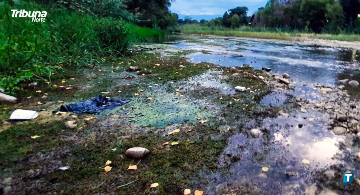 Inspeccionan autoridades estatales y federales afectaciones en el cauce del río Pilón