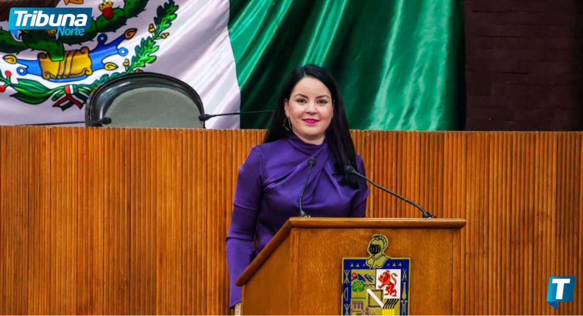 Propone Brenda Velázquez identificar vehículos oficiales en la Constitución de Nuevo León