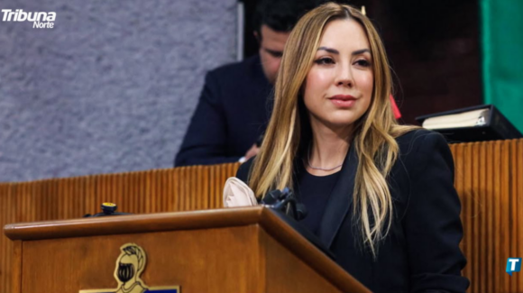 Iniciativa sobre violencia vicaria sigue en análisis con Fiscalía de NL: Perla Villarreal