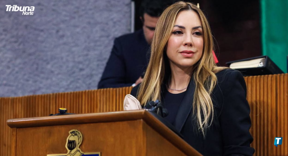 Perla Villarreal asegura que iniciativa sobre violencia vicaria sigue en análisis con la Fiscalía