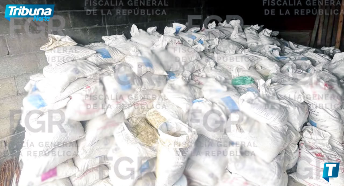 Hallan excavación subterránea durante cateo federal por presunto huachicol en Apodaca, Nuevo León