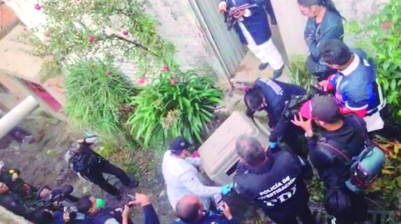CDMX: Rescatan a 26 gatos y seis perros pitbull de casa en Tlalpan