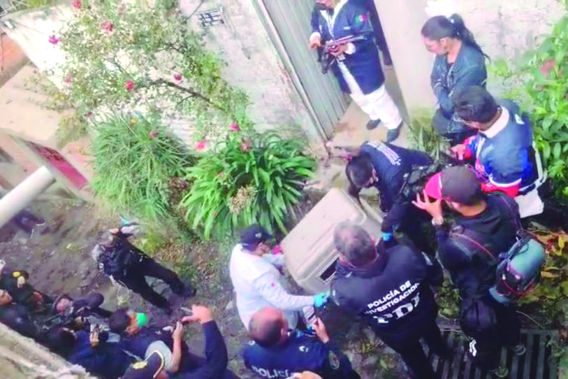 CDMX: Rescatan a 26 gatos y seis perros pitbull de casa en Tlalpan