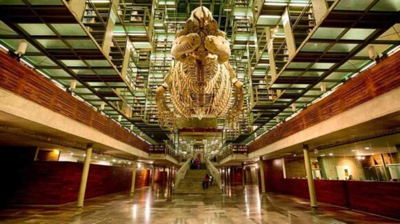 CDMX: Llega la temporada de espantos a la Biblioteca Vasconcelos