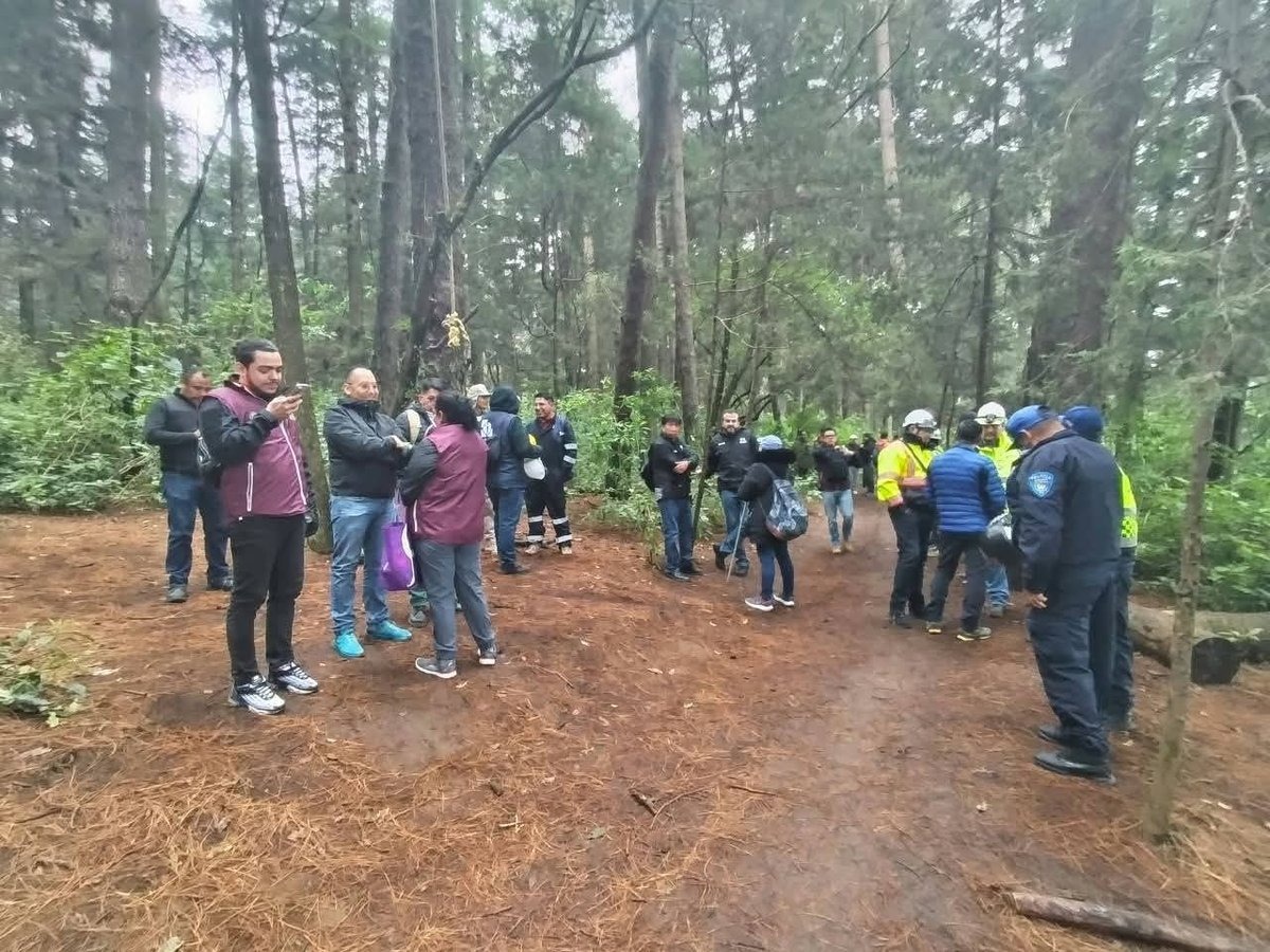 CDMX: Protestan por supuesta tala de árboles en Bosque El Ocotal, Cuajimalpa