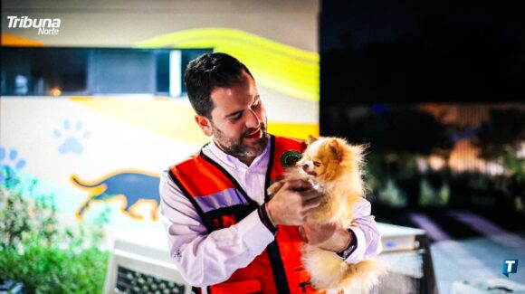 Protección animal ante el temporal: Medio Ambiente emite guía para cuidar a las mascotas durante las lluvias