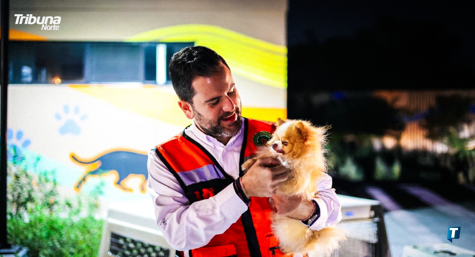 Protección animal ante el temporal: Medio Ambiente emite guía para cuidar a las mascotas durante las lluvias