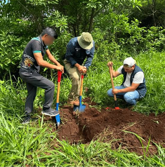 ¿Qué informó la Comisión Nacional de Búsqueda sobre el predio de La Curva, en Xalisco, Nayarit?